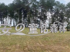 重庆安的童话森林春季花展开园：带来渝北乡村旅游新体验