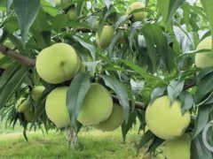 70多位农户学当“老板” 吃上乡村旅游饭